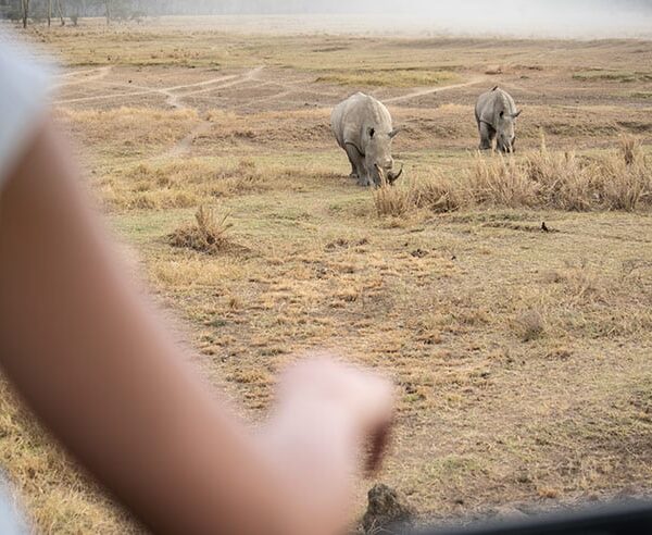 Lion hill game lodge